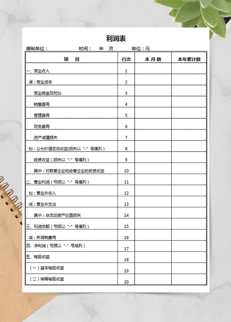 简单通用利润表