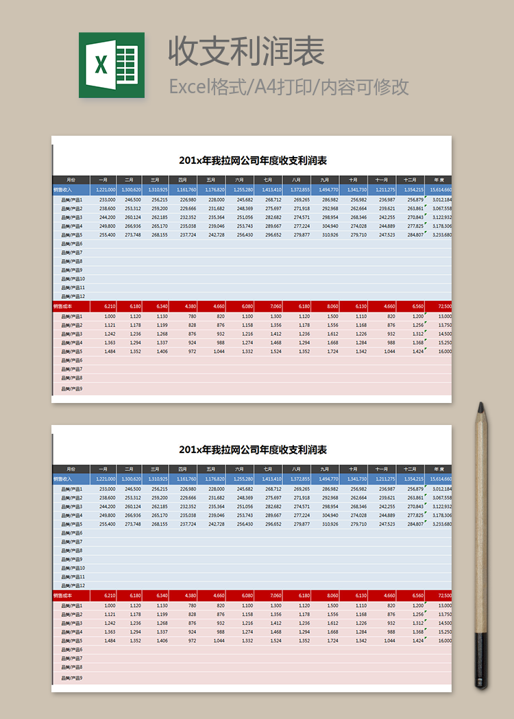 年度收支利润表格