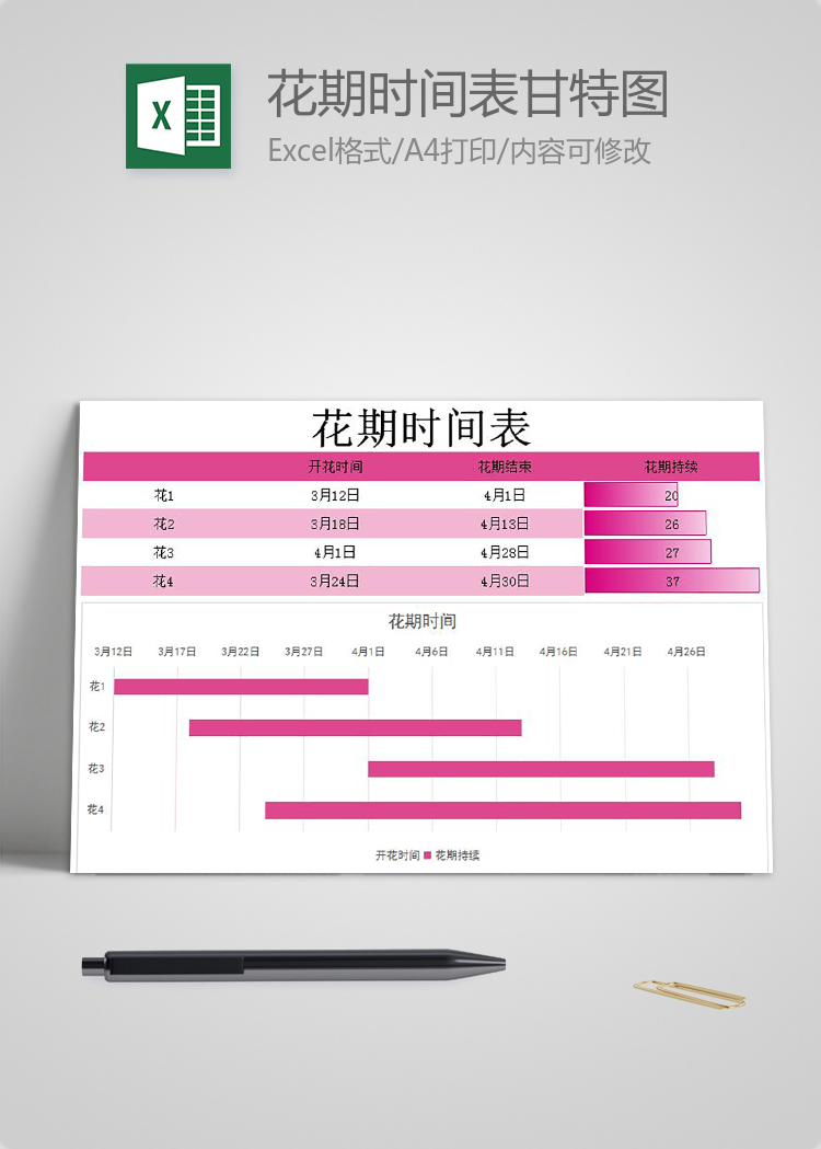紫罗兰红色系花期时间表甘特图模板