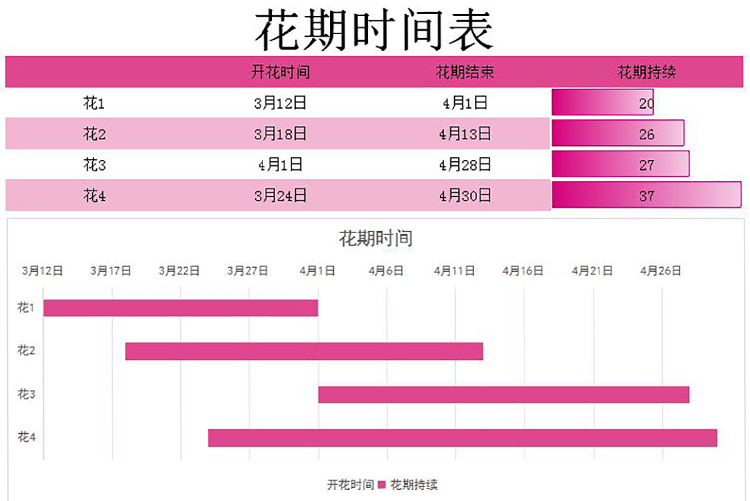 紫罗兰红色系花期时间表甘特图模板-1