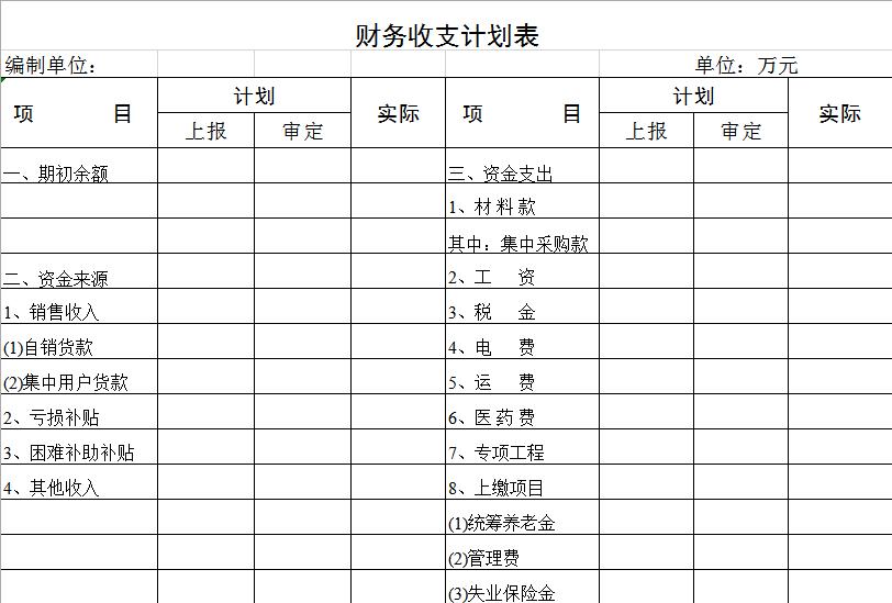 财务收支计划表