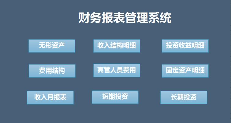 蓝色系财务报表管理系统excel表格