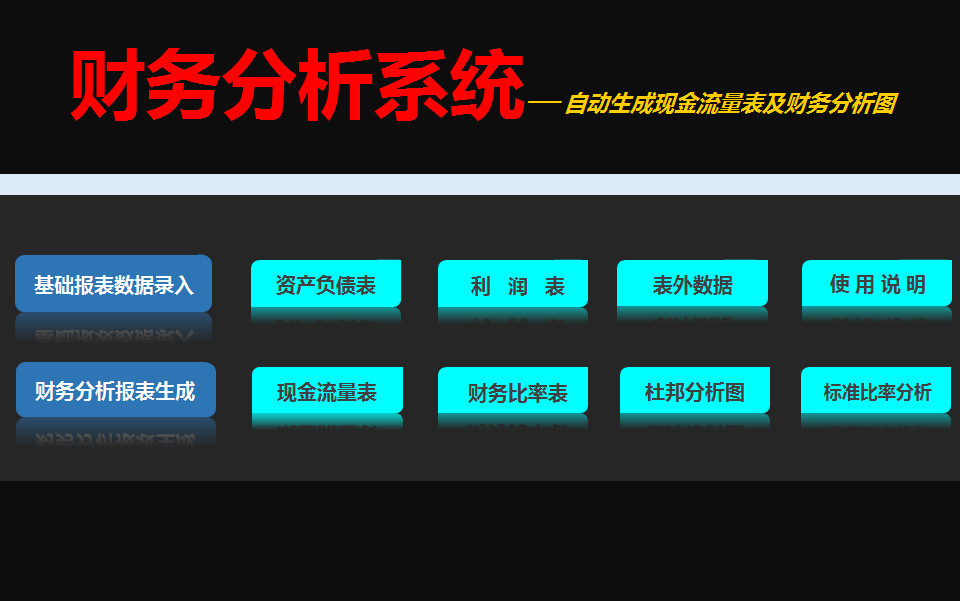 财务分析系统明细表-2