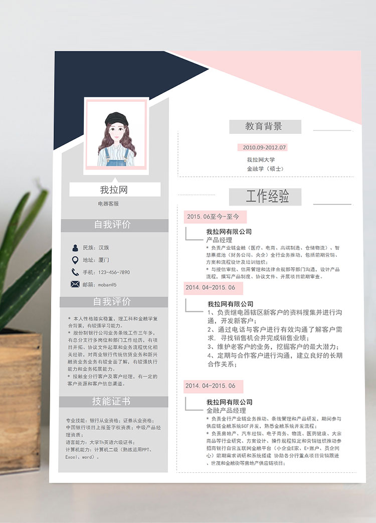 灰粉色时尚电器客服简历模板