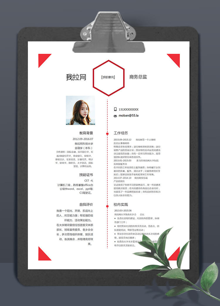 红色简约大气风格商务总监简历模板