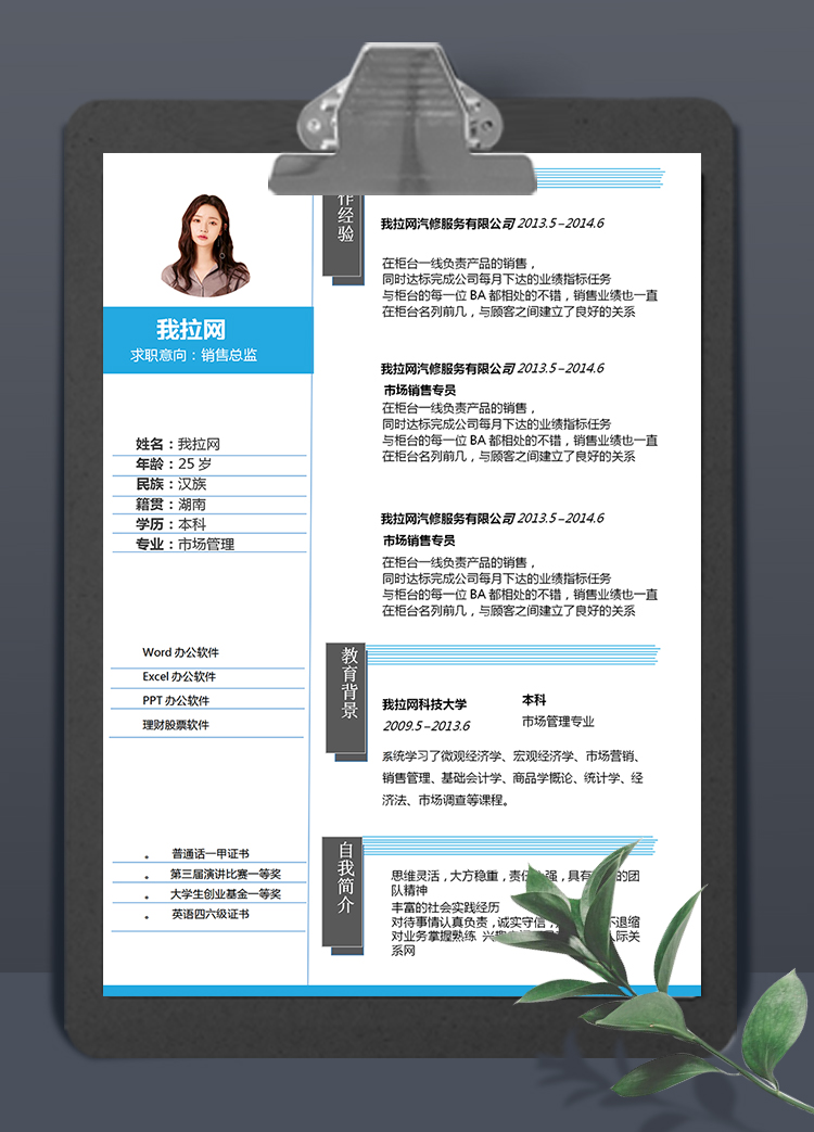 简约灰蓝线条销售总监简历求职简历Word模板