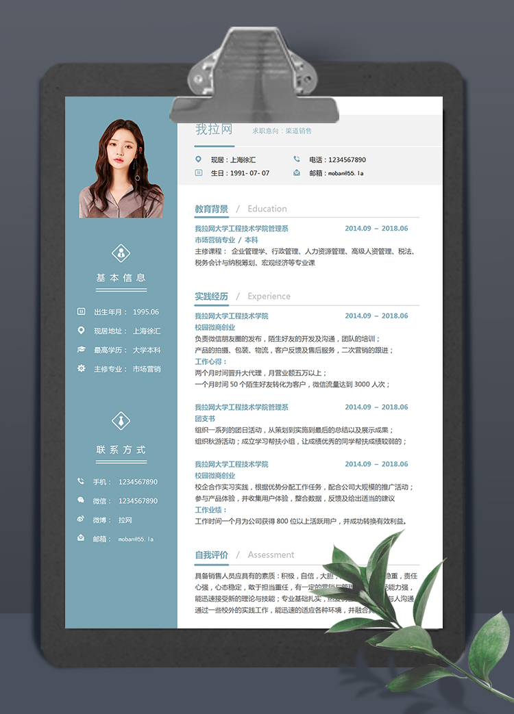 蓝色稳重风格渠道销售简历模板